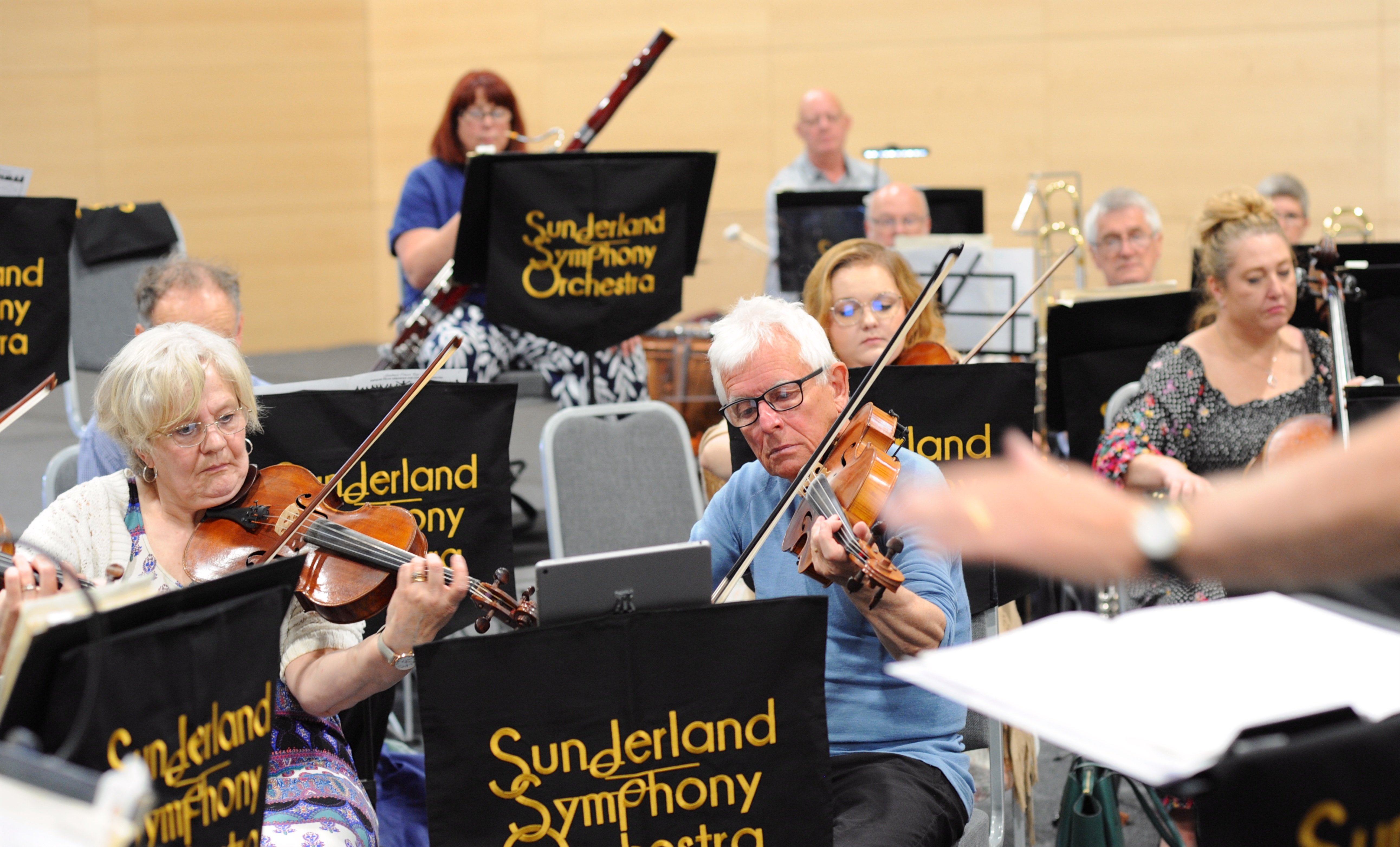 Orchestra musicians performing
